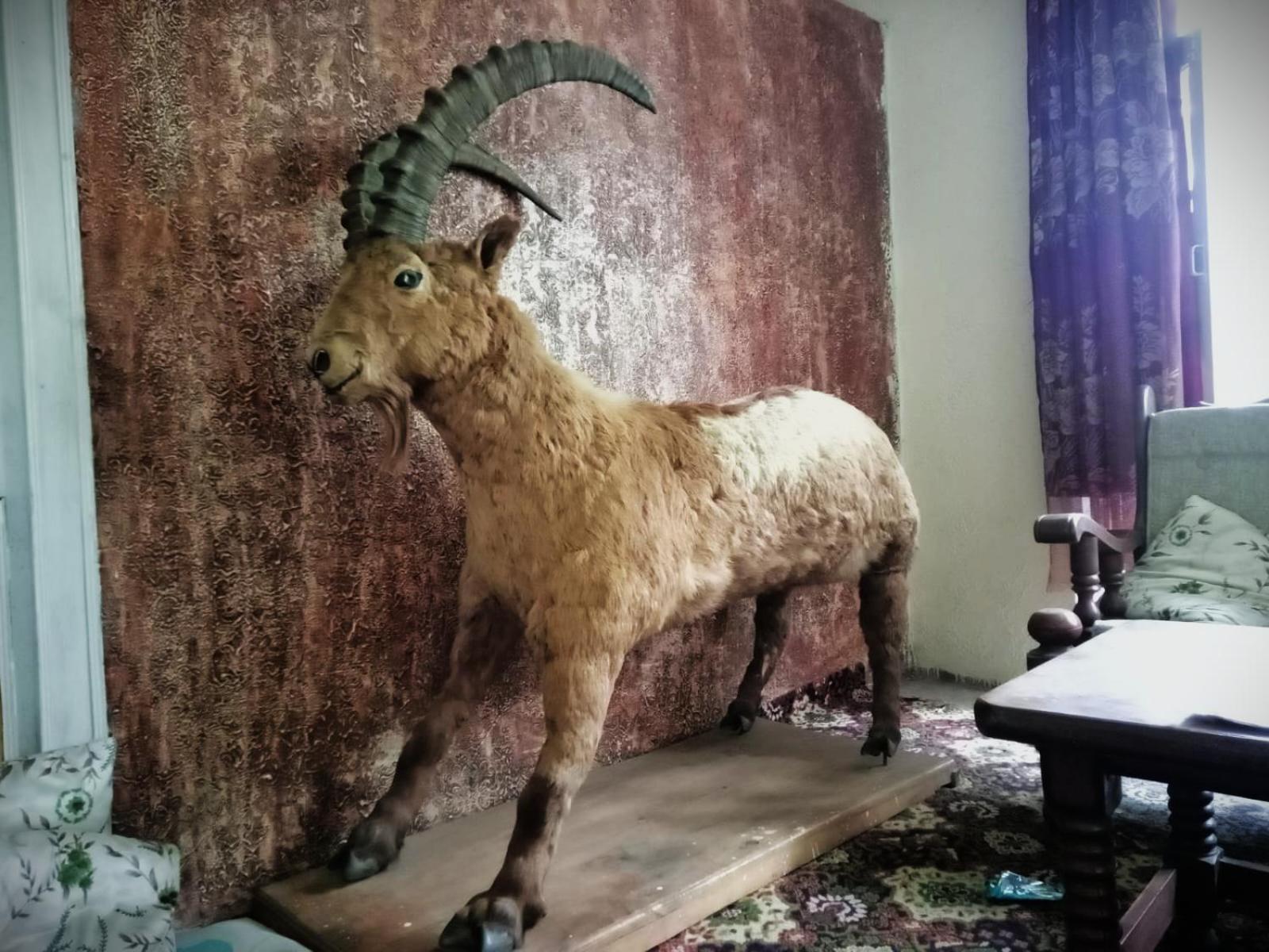 Golden Ibex Resort Skardu Dış mekan fotoğraf